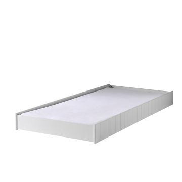 ROBIN ROLBED WIT