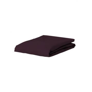 Essenza Hoeslaken The Perfect Organic Jersey Bordeauxrood