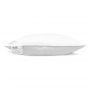 Heckett & Lane Kussen Down pillow White 100 WGF