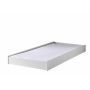 ROBIN ROLBED WIT