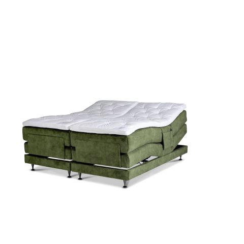 Dorbien Green Exclusive Adjustable