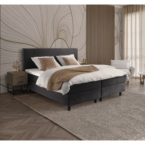 Adore Boxspring 101
