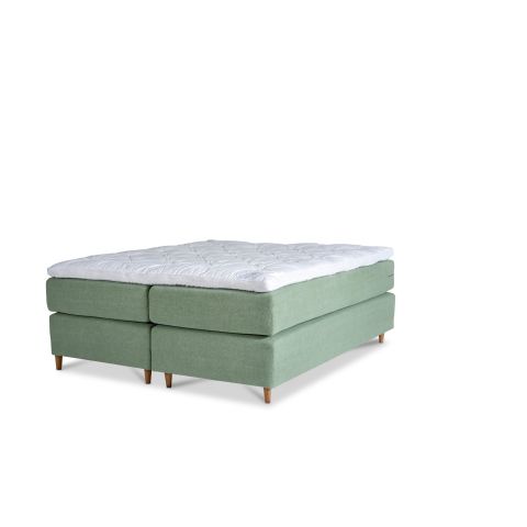Dorbien Green Continental 2